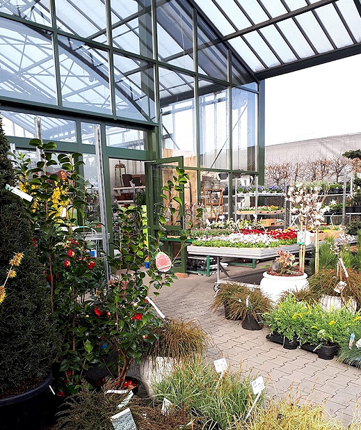 Hebe Centrum Ogrodniczne - Galeria